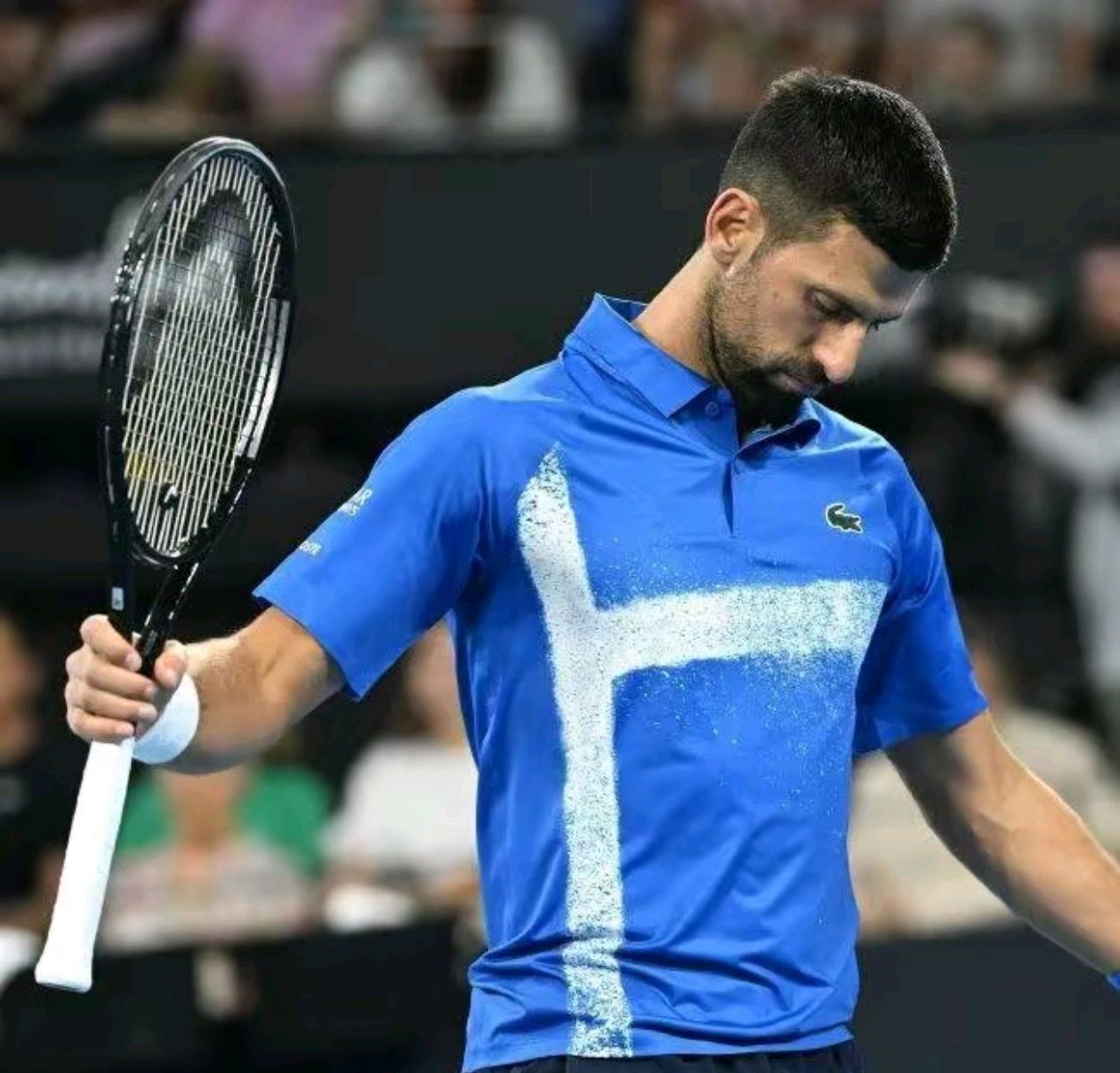 德约科维奇爆冷击败独行侠，高光表现引爆全场！(德约科维奇太帅了)